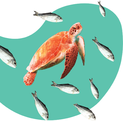 Bien-être au travail